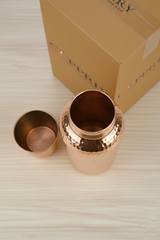 Pure Copper Water Bottle & Tumbler Set - Ayurvedic Wellness Combo